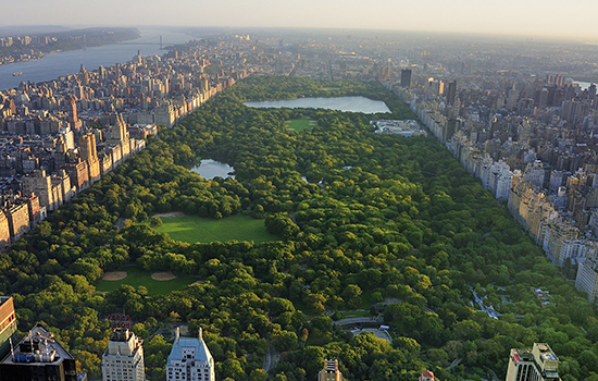 Nova York é uma das cidades mais visitadas pelos brasileiros no exterior e certamente uma das mais espetaculares do mundo. São tantas coisas diferentes para ver e fazer na cidade, que é mais do que natural que um marinheiro de primeira viagem fique em dúvida por onde começar sua programação.  Por isso, selecionamos alguns lugares incríveis que você deve conhecer quando for para NY. Confira!